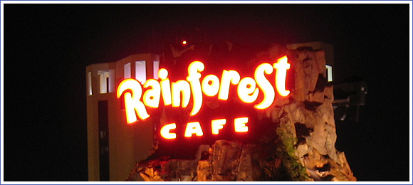 Rainforest Cafe at Downtown Disney
